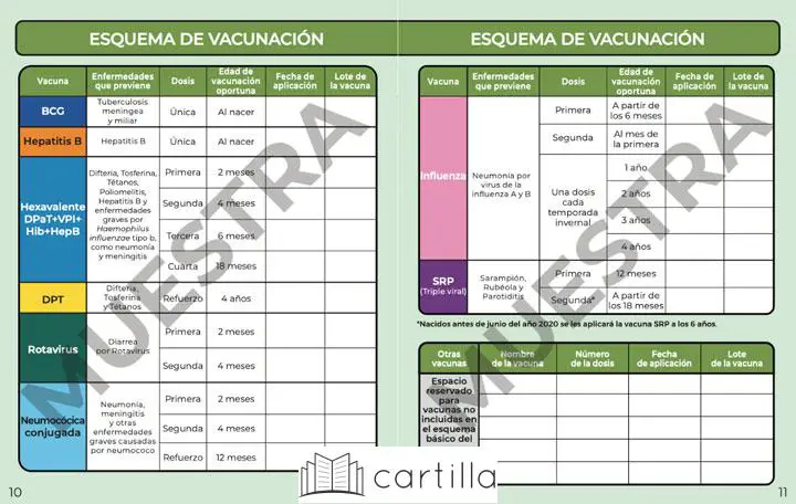 Consejos para mantener la cartilla actualizada