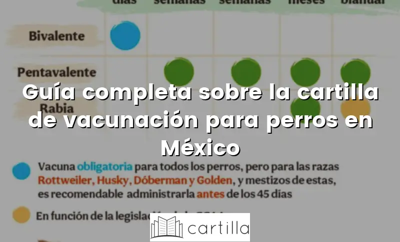 Guía completa sobre la cartilla de vacunación para perros en México